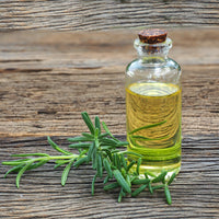 Rosemary_Camphor_Oil_1
