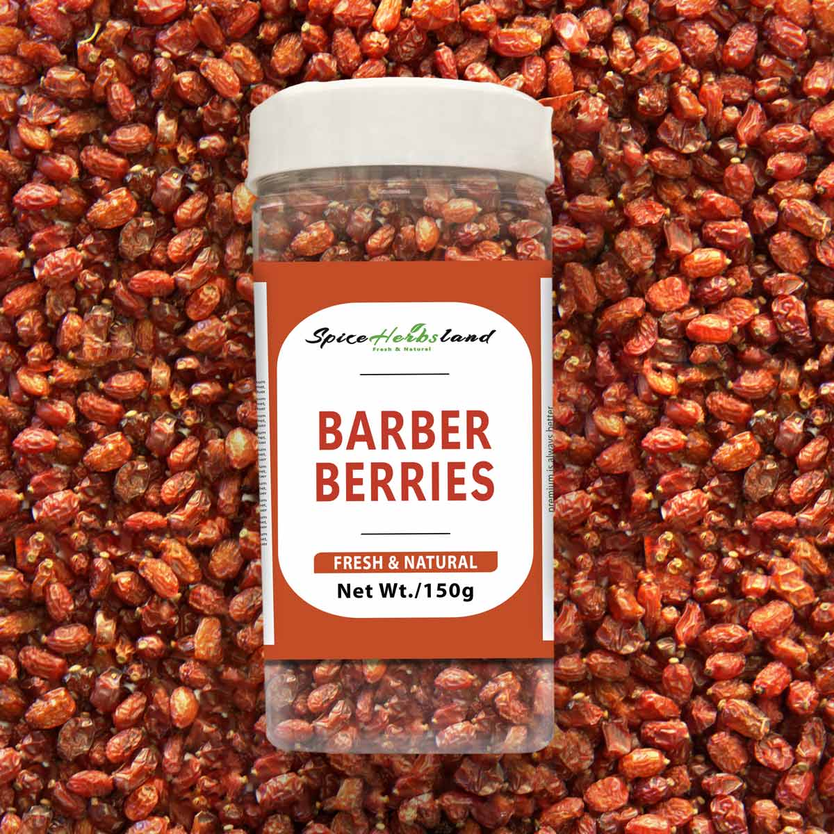 BARBER_BERRIES_SH104_P