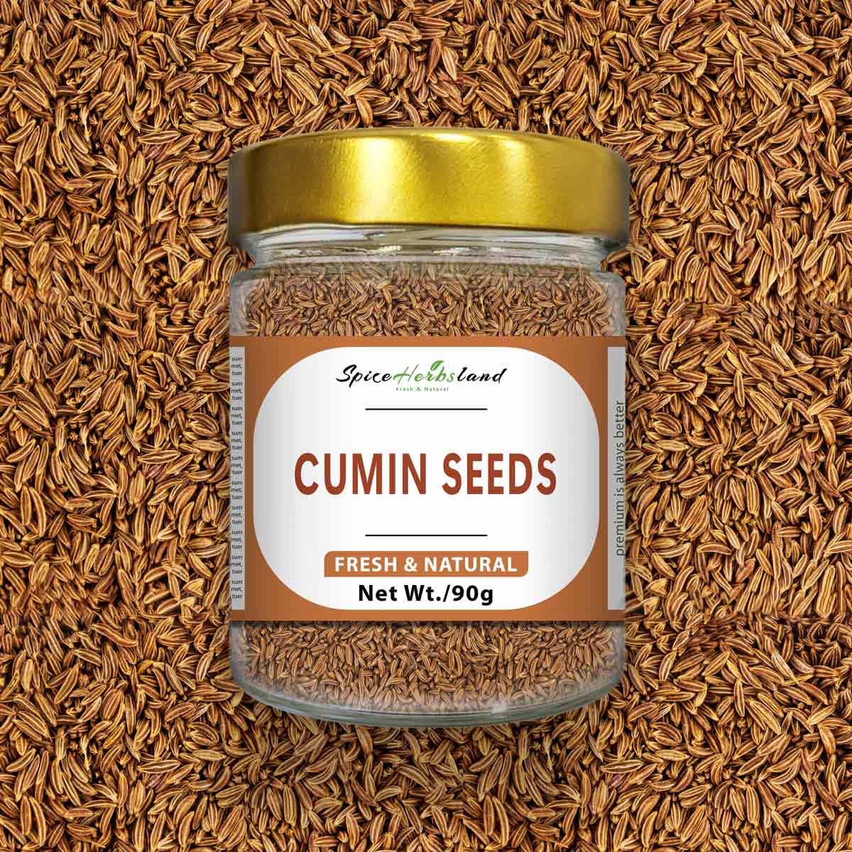Cumin_seeds_Sh116