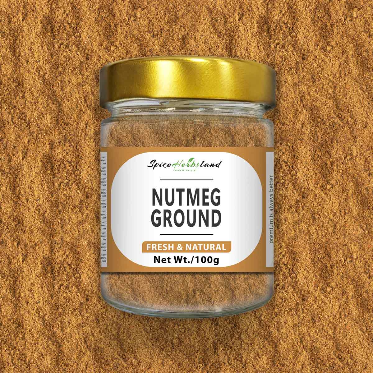 Nutmeg_ground_SH91