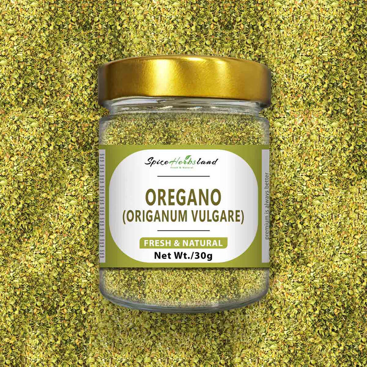 Oregano_Origanum_vulgare_SH35