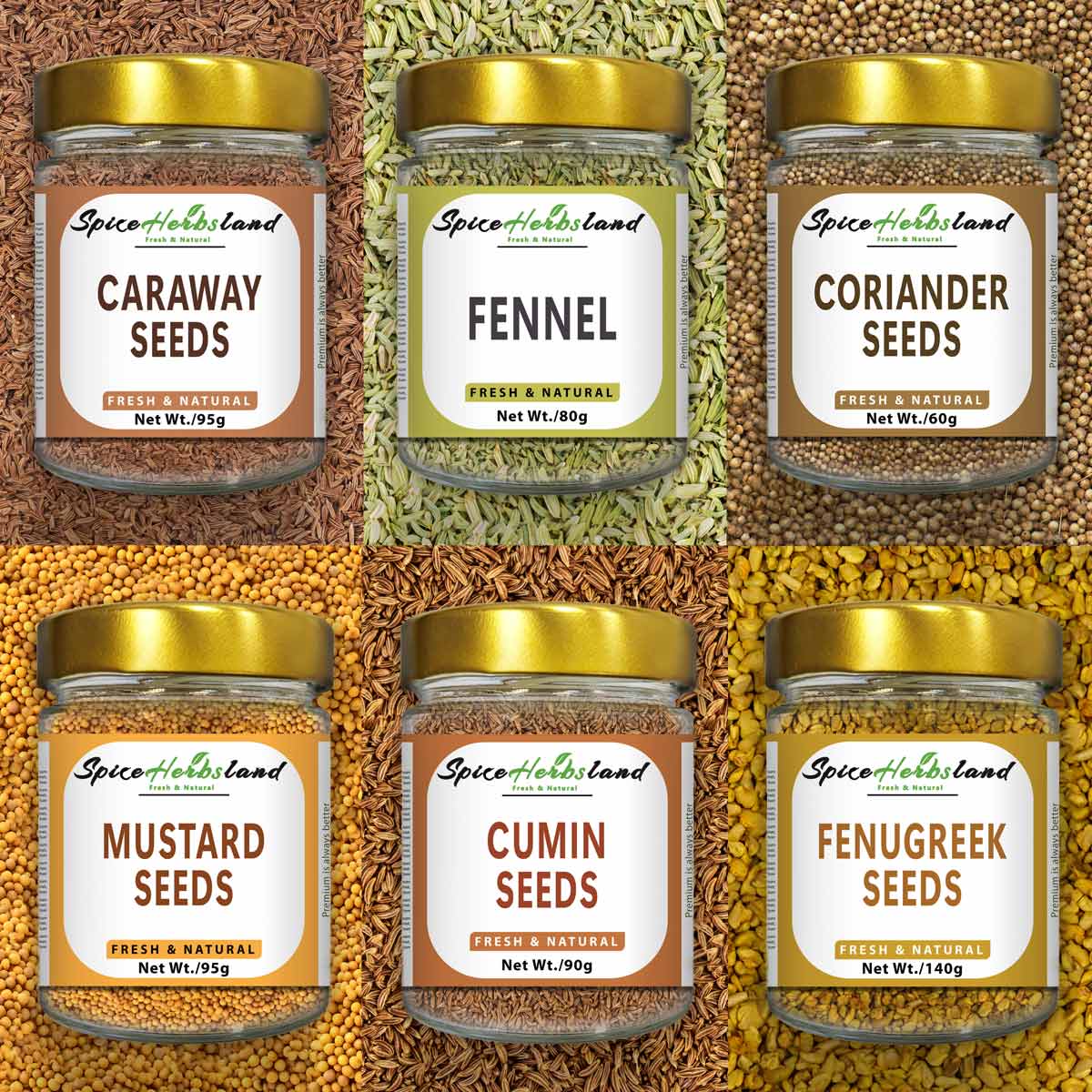 SeedsCollection_SHB11