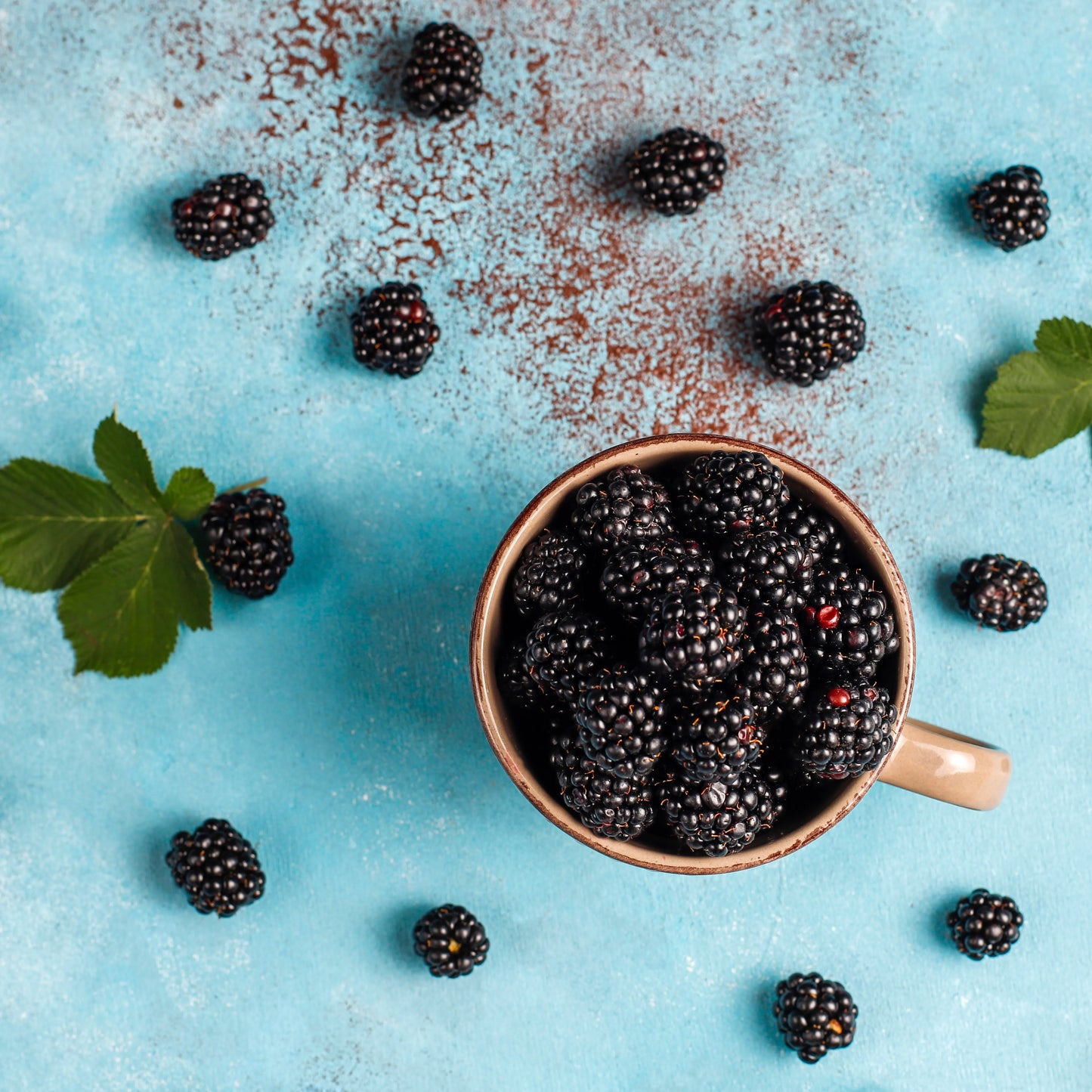 Acai Bessen Olie